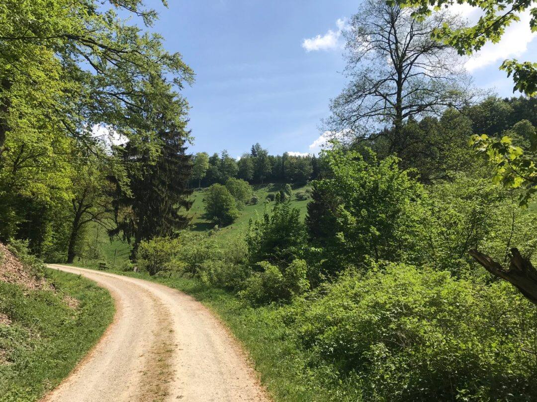 Harz (Zorge) 2018