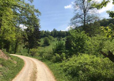 Harz (Zorge) 2018