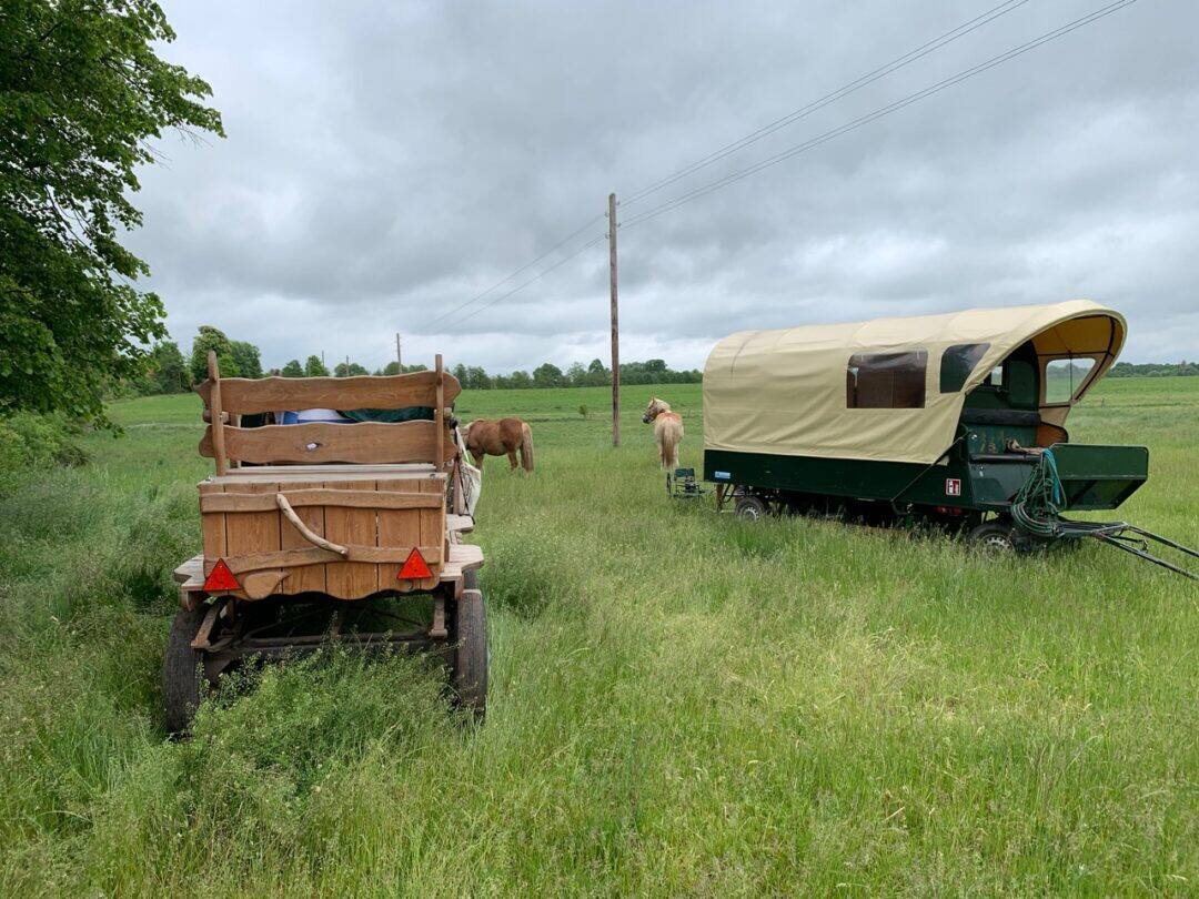 Uckermark 2020