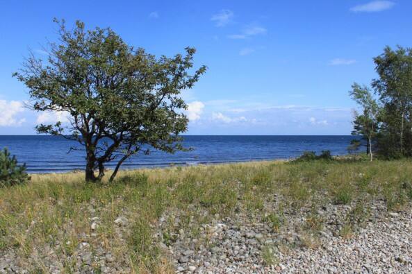 Die Ostsee