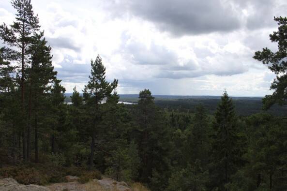 Der Ausblick