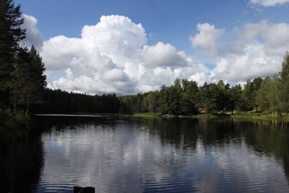 Wasser und Wald