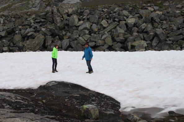 Schnee im August muss natürlich genau untersucht werden
