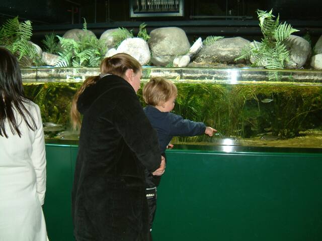London Aquarium